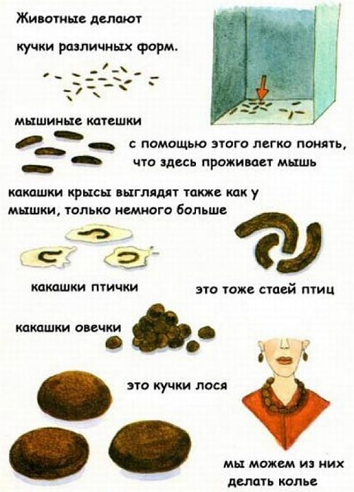 ����� � �������� 3