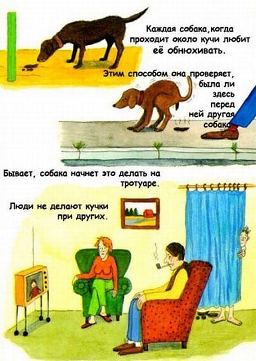 ����� � �������� 7