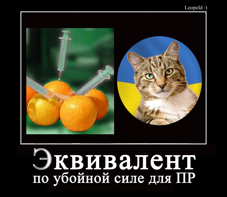 ���������� ���� �� ����