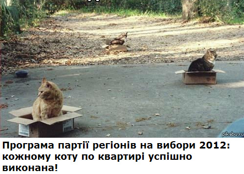 ���������� ���� �� ����