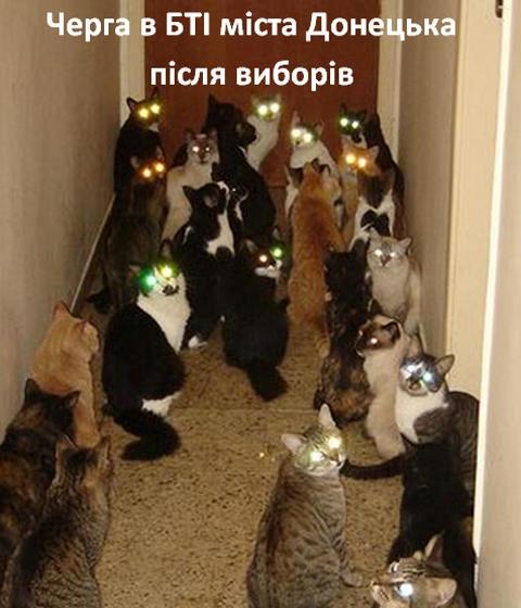 ���������� ���� �� ����