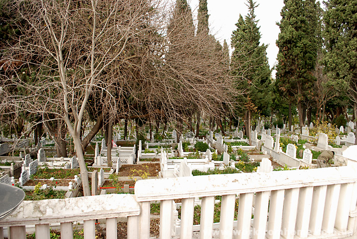 <?php echo $title; ?>